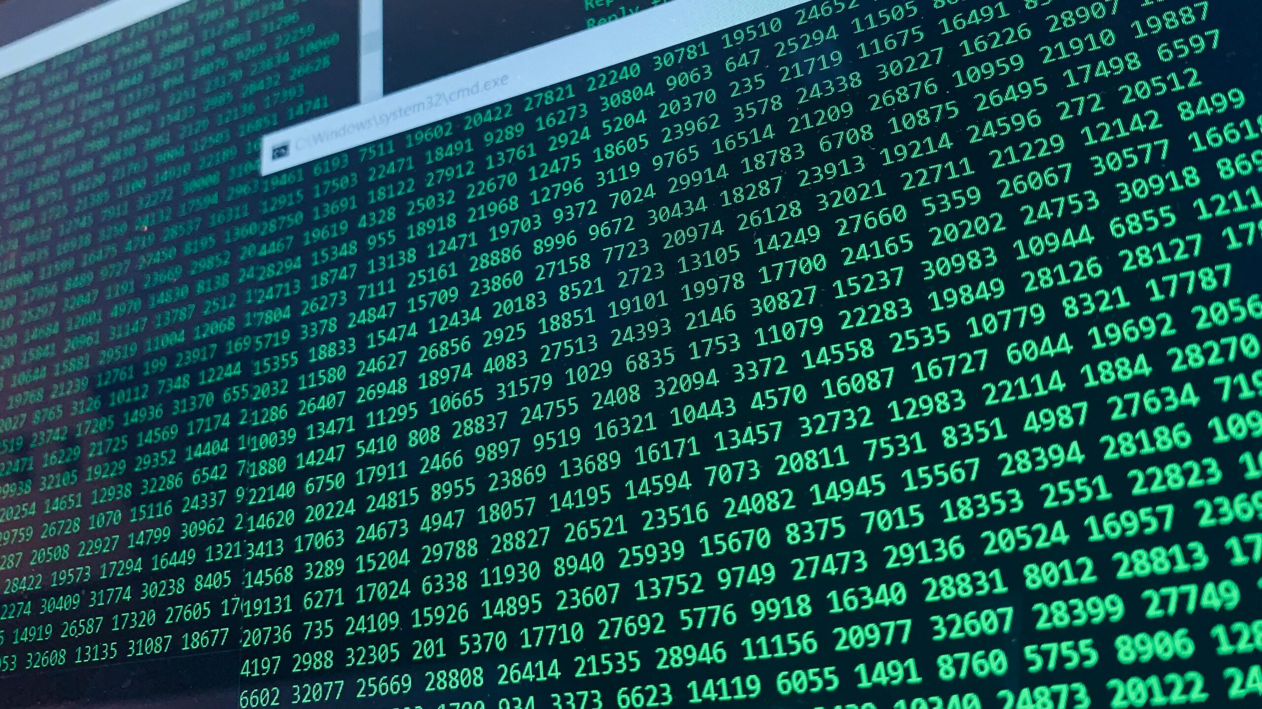 The Dataset That Felt Like a Diary